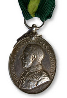 Territorial Force Efficiency Medal